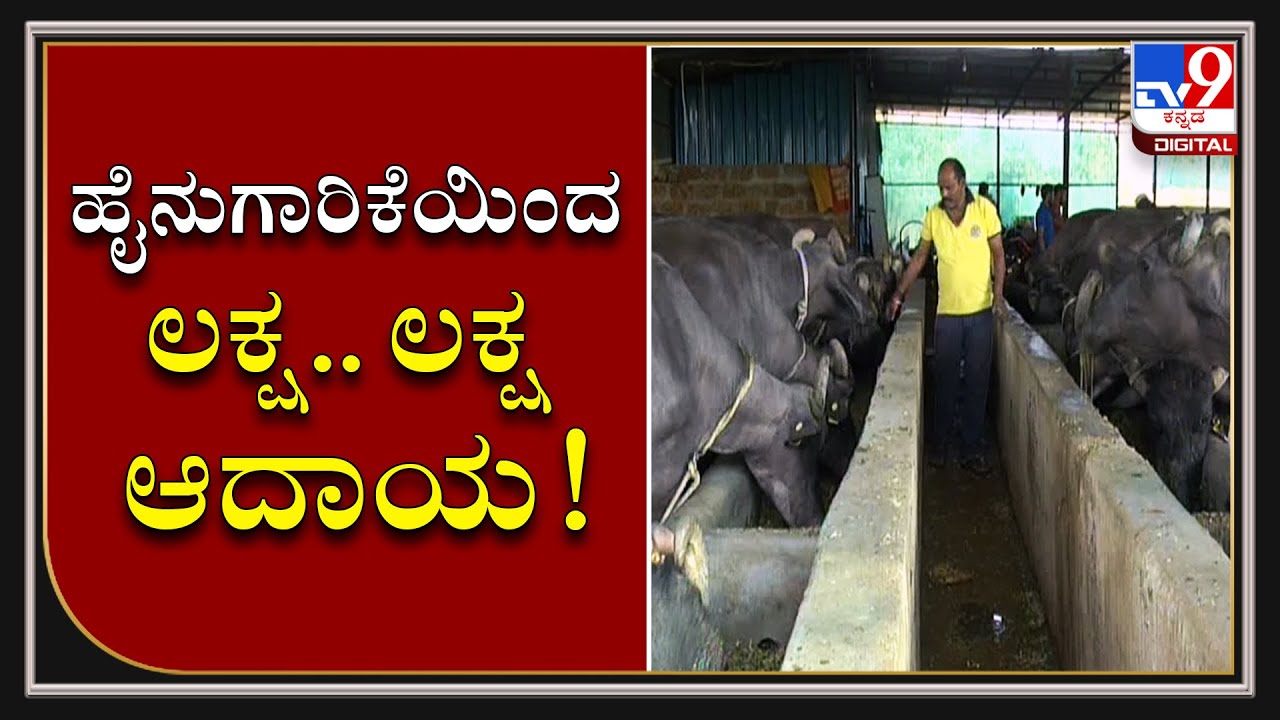Dairy Farming & Agriculture Brings Success For Politician In Bidar