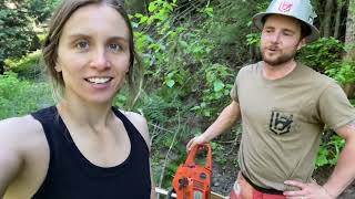 Harvesting & Peeling Cedar Trees For A Massive Retaining Wall