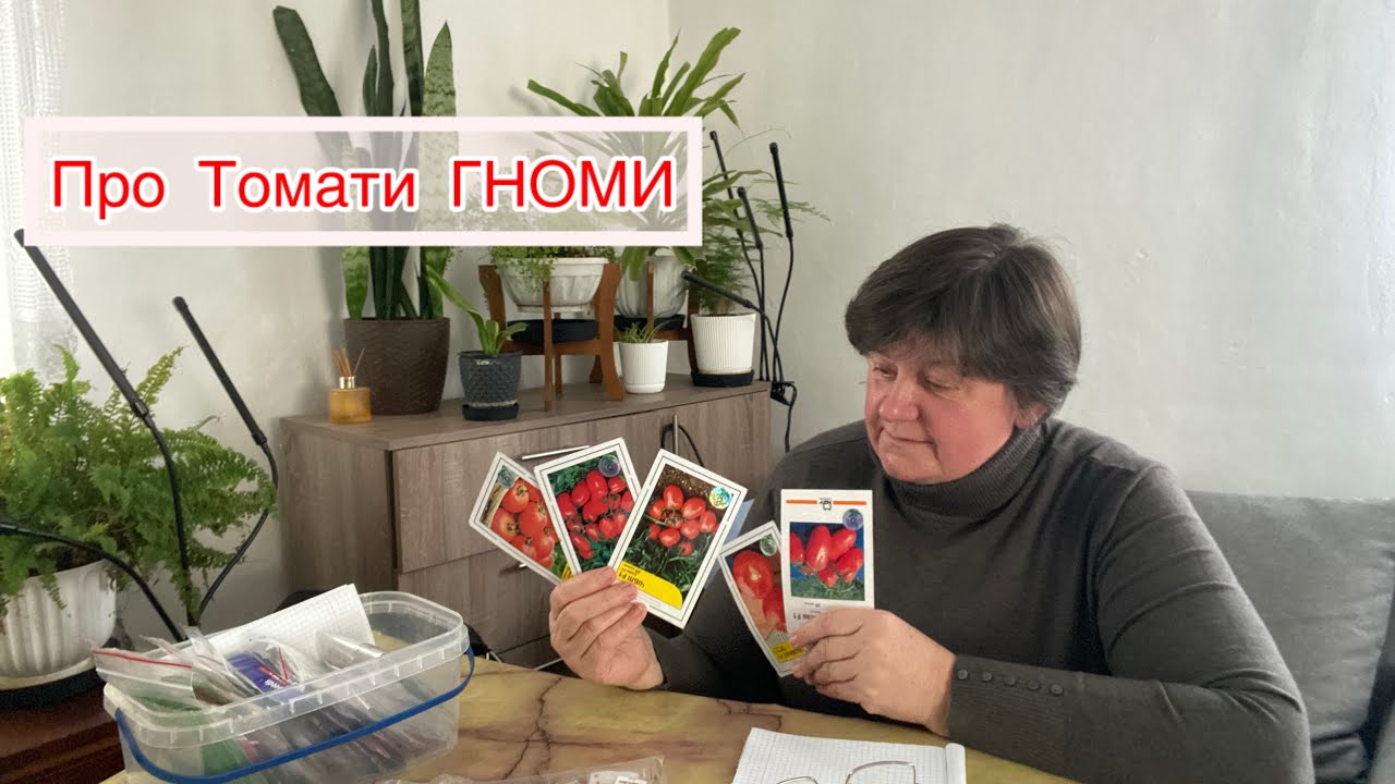 Які помідори я буду висівати // ОГЛЯД СОРТІВ