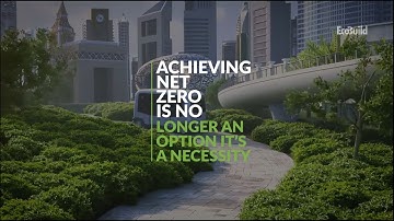 Net Zero & Decarbonization