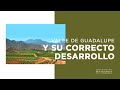 Valle de Guadalupe y su correcto desarrollo - Alejandro D&#39;Acosta, César Cuevas