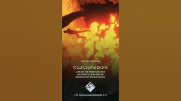 آيات بينات من الذكر الحكيم ♥️