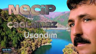 Necip Çağlamaz - Usandım