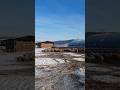 Поилка для овец с подогревом зимняя поилка для овец #овцы #бараны #козы#автопоилка с подогревом