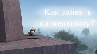 КАК ЗАЛЕЗТЬ НА МЕЛЬНИЦУ В WCUE? warrior cats ultimate edition