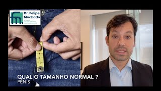 Tabu Qual O Tamanho Normal Do Pênis ?