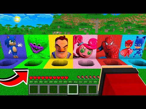 NE CHOISISSEZ PAS LE MAUVAIS TROU SECRET SUR MINECRAFT ! (Sonic, PoppyPlayTime, SpiderMan, Pyjamask)