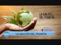 Sommario quinta puntata anno 2015-16 Sommario quinta puntata anno 2015-16