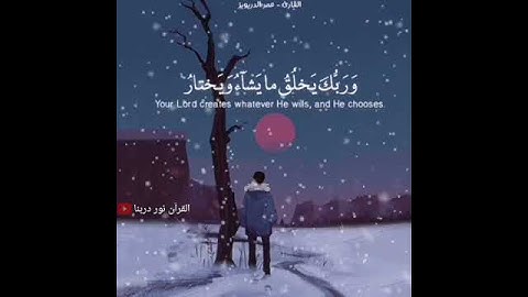 تلاوة مريحة لقلبك بصوت القارئ عمر الدريويز💗حالات واتس أب دينيه