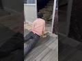Lag day funny video desi comedy. #lagday #workout