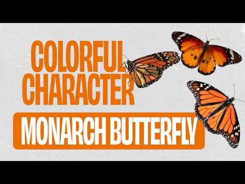 Monarch Butterfly