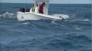 Into The Shop: "ANCHORING PERFECTION"
