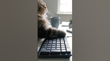 Make Time for What Matters Most