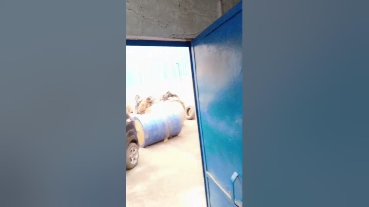 Office Decor SK motors ( Rohini sec20 ) wallpaper , Grid ceiling pvc