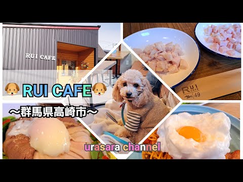 バイク好きにおすすめ♡群馬県高崎市にあるドッグカフェ【RUI CAFE】子供が巣立った後の愛犬との暮らし
