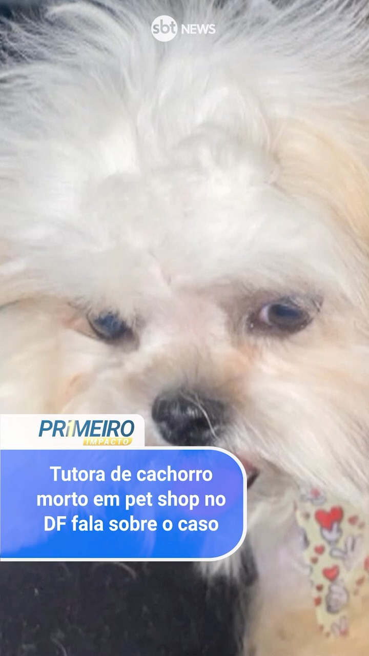 Tutora de cachorro morto em pet shop no DF fala sobre o caso