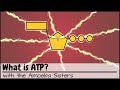 The Essential Role of ATP in Cellular Processes and Energy Transfer