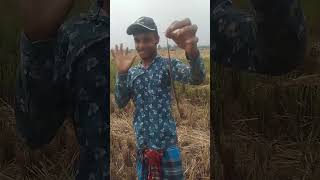 ## ker narthe ase jokon bule sap ase##*