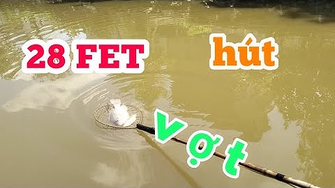 Bắt hết cá rô phi trên sông  bằng kích cá điện tử 28 FET LH: 0362921480