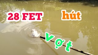 Bắt Hết Cá Rô Phi Trên Sông Bằng Kích Cá Điện Tử 28 Fet Lh 0362921480