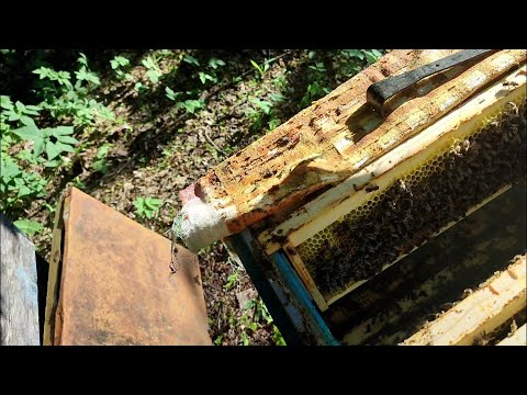 Облёты на 145