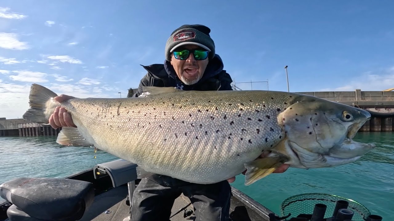 Сошел лед. Огромная бурая форель.