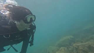 discover scuba diving8.21