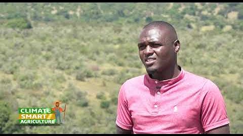 Grasslands/rangelands management for improved pastoral livelihoods. Part 2