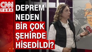 Prof. Dr. Fadime Sertçelik Anlattı Düzce Depremi Neden Birçok Şehirde Hissedildi?