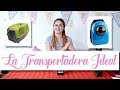 LA TRANSPORTADORA IDEAL PARA TU GATO- Cat Tips con Naty Moreno