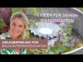DIY - eine NEUHEIT - der WASSERKRÄUTERGARTEN, Wassergarten für BALKON, Terrasse und Garten