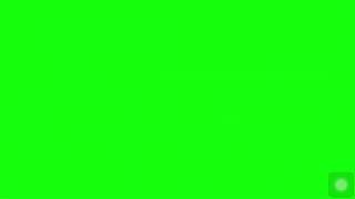 Bug green screen chroma key