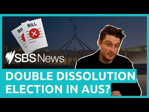 Video: Kas topeltadapterid on Austraalias ebaseaduslikud?