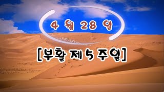 매일미사 (독서, 복음, 강론) 2024년 4월 28일 [부활 제5주일] ㅣ곽윤식 사도요한 신부님강론 ✠ 강욱남 (루치오) 영상편집