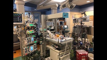 CV Disease in the Neonate WCPCCS2023