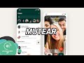 ESTO ES LO MÁS NUEVO en WhatsApp | El Recuento