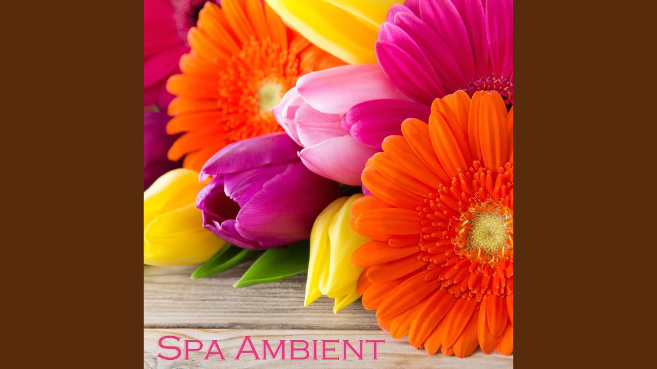 Spa Suite - Spa Room Music Spa Suite - Spa Room Music