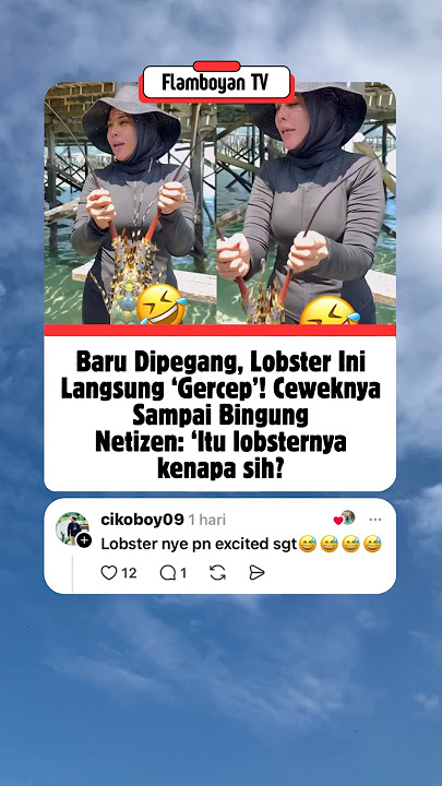 Astaga! Baru Diangkat, Lobsternya Malah ‘Begituan’ di Tangan 🤣 #shorts #trending #viralvideo