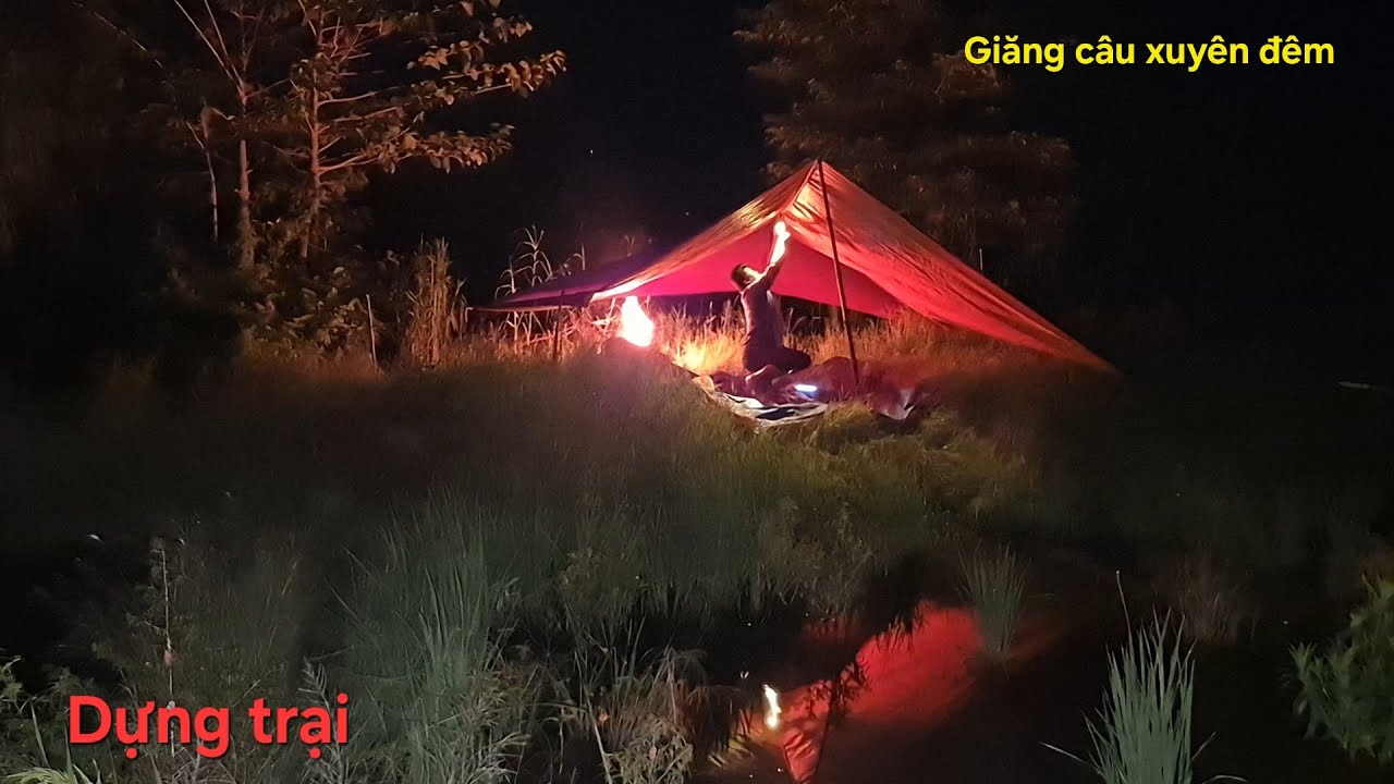 Dựng trại giăng câu xuyên đêm || Khu này cá trê bắt đầu lên theo con nước nổi