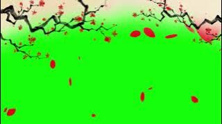 Chinese Calligraphy Green Screen Frame With Red Petals Falling | Chinese Green Screen Frame