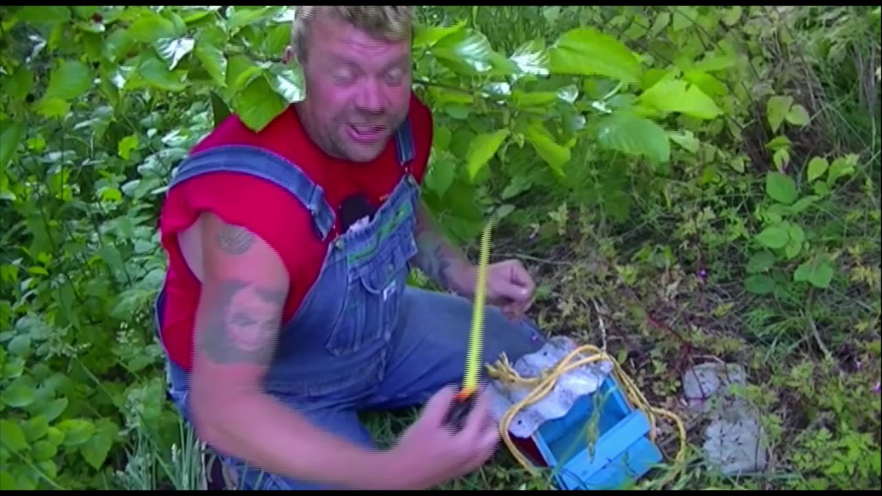 Dan's World Famous Ugly Bird Houses ad # 62