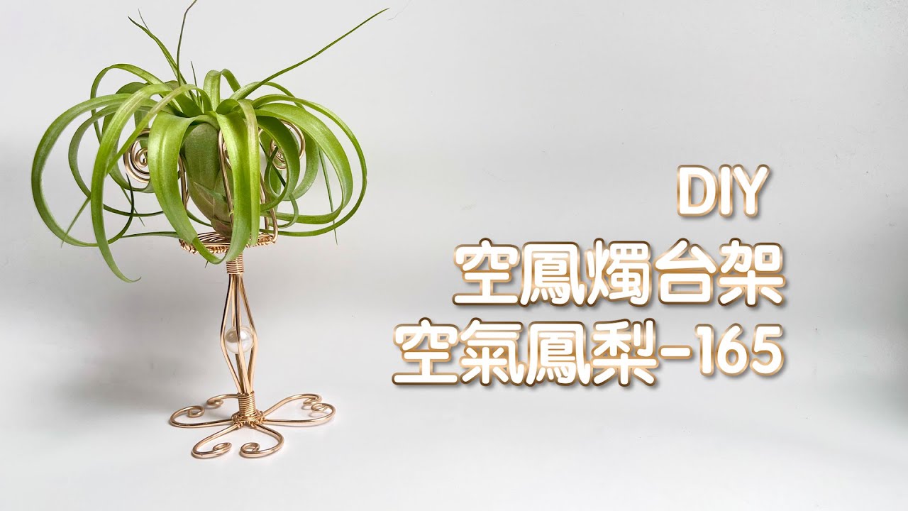 DIY wire 教你如何使用彩色鋁線製作空氣鳳梨 空氣鳳梨燭台 How to make Aluminum wire Air plant flowerstand candlestick