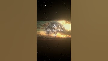 سورة الجن|9-15|القارئ:#محمد_اللحيدان #قران #quran #راحة_نفسية #قران_كريم#تلاوة_هادئة#آية#تلاوة_خاشعة