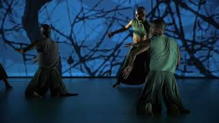 Dada Masilos The Sacrifice  Trailer