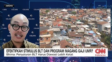 Efektifkah Stimulus BLT dan Program Magang Gaji UMR?
