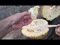 🍈 Как чистить и есть вонючий фрукт дуриан