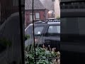 not a great day just flaming wet #fypシ #sound #storm #weather #rain #garden #fyp #wet #pouring #damp