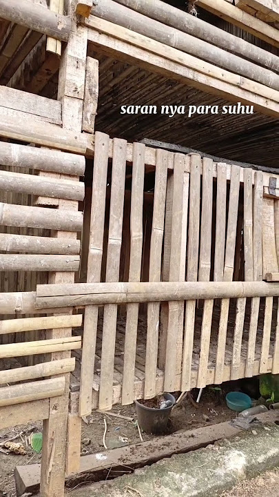 📉 Sepi… sunyi…Kandang ayam yang dulu penuh riuh, kini kosong tak bersisa.Tetelo merenggut segalanya.