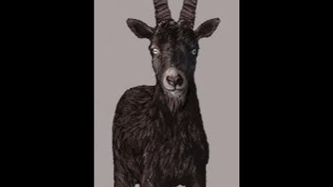 Fear and Hunger 2 Termina Part 25: I Got a Goat