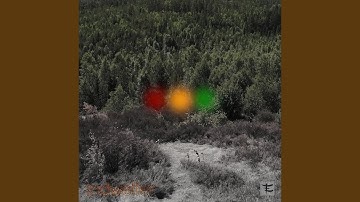 When the Trees Are Leaving (Live)